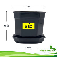 ราคา กระถางพลาสติก กระถางต้นไม้ กระถางต้นไม้สวยๆ แปดเหลี่ยม 8เหลี่ยม 5 นิ้ว สีดำ (15910536604)