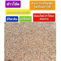 ราคา ข้าวโอ๊ต อาหารนกแก้ว บรรจุ 1 กก (12563231498)