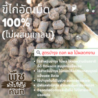ราคา ขี้ไก่อัดเม็ด 100 ไม่ผสมแกลบ มูลขี้ไก่อัดเม็ด สูตรบำรุง ดอก ผล ไม้ดอก ไม้ผล ดก าม สูตรบำรุง อัดเม็ดพร้อมส่ง ไม่ผสมแกลบ ไม่มีโซดาไฟ (16816993413)