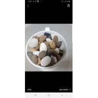 ราคา หินกรวด แกลบชมพู แกลบขาว แกลบผสม แกลบขาวน้ำตาล (10428420914)