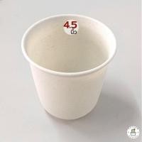 ราคา กระถางแคคตัส กระถางกระบองเพชร กระถางพลาสติก กระถางทรงสูง 2 5 3 5 4 5 นิ้ว (17017160454)