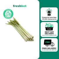 ราคา ตะไคร้พันธุ์เกษตร สีขาว คัดตัดแต่ง Lazada Exclusive Item 100 กรัม แพ็ค (20606214380)