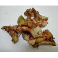 ราคา 2เหง้า ว่านไก่แดง พญาไก่แดง (9125520123)