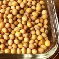 ราคา ถั่วเหลือง เม็ด 500 กรัม เผาะถ้่วงอก ทำน้ำเต้าหู้ ส่งฟรีกดรับโค้ดด้านล่าง ลูกค้าสามารถเก็บคูปองส่งฟรี คูปองส่วนลดสินค้า ตรงใต้ภาพสินค้า และแจกคูปองตรงที่ไปกดติดตาม (19399828758)