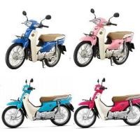 ราคา แท้100 บังลม ซ้าย ขวา ชุดสี Dream Super cub 2011 2016 เบิกศูนย์ HONDA เฟรม รถ เปลือกรถ เฟรมSuper cub H015 (7184976044)