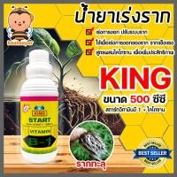 ราคา น้ำยาเร่งราก คิงสตาร์ท วิตามิน บี 1 ผสมไคโตซาน มี 4 ขนาดให้เลือก สารกระตุ้นราก น้ำยาบี1 B1 เร่งรากบี1 น้ำยาเพิ่มราก เร่งการเจริญเติบโต สารเร่งราก (20562455815)