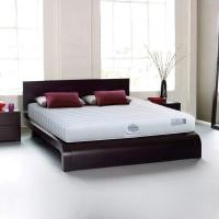 ราคา ที่นอน Synda รุ่น Nature prima ขนาด 3 5 ฟุต 5 ฟุต 6 ฟุต ที่นอนระบบ Latex ยางพารา (20973801001)