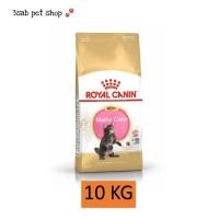 ราคา Royal Canin Cat Maine Coon Kitten 10 KG แมว ลูกแมว พันธุ์เมนคูน อายุ 4 15 เดือน อาหารลูกแมว อาหารเม็ดแมว 1 กระสอบ (12270282980)