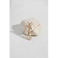 ราคา Vetiver Pearl Kite handmade earring ต่างหูมุก ต่างหูแป้น ต่างหูทรงยาว มุกน้ำจืด มุกแท้ มุกธรรมชาติ ตัวเรือนเงินแท้ ชุบทอง18k จัดส่งไว (19643983870)