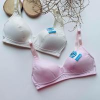 ราคา 3 เสื้อชั้นใน จินตนา รุ่นJB2850 Jinteen ไร้โครง ฟองบาง อุ้มเต้า (20809496268)