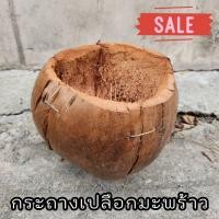 ราคา กระถางเปลือกมะพร้าว มะพร้าวครึ่งลูก มะพร้าวแขวน ลูกมะพร้าวแขวน กระเช้าลูกมะพร้าว (20001234333)