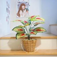 ราคา ต้นไม้ปลอม ต้นไทรใบสัก พร้อมตะกร้าหวาย แถมฟรีหินโรยจ้าา (19725222670)