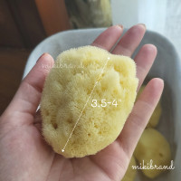 ราคา ฟองน้ำอาบน้ำเด็ก ฟองน้ำธรรมชาติจากทะเล แท้ 100 ฟองน้ำล้างหน้า นำเข้าจากประเทสกรีซ (17307470832)