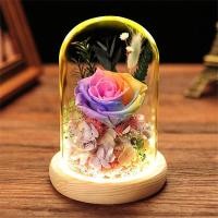 ราคา ดอกไม้ความงามและBeastสีแดงสดกุหลาบนิรันดร์แก้วโดมสำหรับวันวาเลนไทน์ของขวัญคริสต์มาสอุปกรณ์ประดับบ้าน (12264520070)