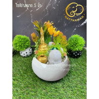 ราคา น้ำพุฮวงจุ้ยnatthawanSS1420 น้ำพุตั้งโต๊ะชุดพญานาค (17968374878)