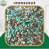 ราคา ปุ๋ยเคมี 20 20 0 ตราม้า เร่งการเจริญเติบโตได้ เร่งการแตกราก บำรุงต้น เร่งการแตกกอ แตกใบ ใบเขียว ดูดซึมสารอาหารดี แบ่งขาย (20566973647)