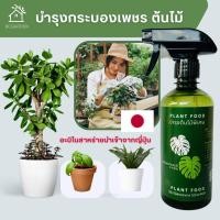 ราคา ปุ๋ยกระท่อม ปุ๋ยใส่กระท่อม ใบเหลือง ปุ๋ยเร่งใบ บำรุงใบ บํารุงต้นและใบ ไม้ด่าง ไม้ประดับ ไม้ฟอกอากาศ (19414194178)