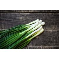 ราคา เมล็ดพันธุ์ ต้นหอม หอมแบ่ง 1100 เมล็ด (17131735918)