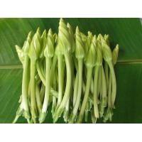 ราคา เมล็ดพันธ์ุ ดอกชมจันทร์ เมล็ดดอกชมจันทร์ 40 เมล็ด 10 แถม 1 คละได้ (10731089830)