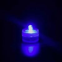 ราคา ตู้ปลากัด ตู้ปลาเลโก้ ตู้ปลาขนาดเล็ก ตู้ปลาสวยงาม เลี้ยงปลากัด ปลากัด (16761879243)