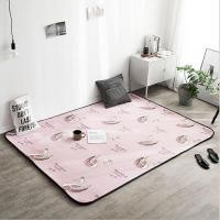 ราคา พรมขนนุ่ม พรมปูพื้น ผ้าปูพื้น ขนาด 120x200cm 150x200cm ความหนา 1 8 ซม (4727538505)