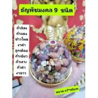 ราคา ข้าวมงคล 9 สี ธัญพืชมงคล 9 ชนิด ขนาด ก7 ส5cm พร้อมบูชาไหว้บูชา แม่สาริกา พระพิฆเนศ ข้าวธัญพืช ของบูชาพระพิฆเนศ (20027347498)