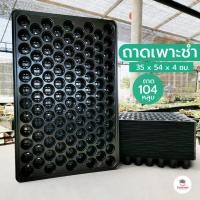 ราคา ถาด 104 หลุม ถาดเพาะชำ ถาดเพาะกล้าไม้ ถาดเพาะเมล็ด (4529700966)