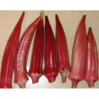 ราคา เมล็ดพันธุ์ กระเจี๊ยบมอญ ฝักแดง Red Burgundy Okra Seed กระเจี๊ยบเขียวฝักแดง นำเข้าจากต่างประเทศ ซื้อ10 แถม1 คละได้ (17573716692)