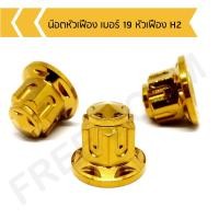 ราคา น๊อตตัวเมีย เบอร์ 19 หัวปิด น็อตตัวเมียหัวปิด เบอร์ 19 หัวเฟือง H2 (9982766400)