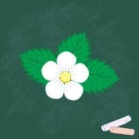 ราคา ตัวรีดติดเสื้ออักษร A Z ฟ้อนสวยสีสดน่ารัก Strawberry รีดง่ายรีดติดทุกเนื้อผ้าสตอเบอรรี่แดงสด (18539869008)