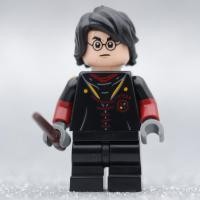 ราคา LEGO Harry Potter Triwizard Uniform 76406 Hungarian Horntail Dragon Harry Potter (19941973168)