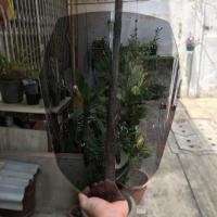 ราคา ชิวnmax ทรงออนิว เลือกปีได้ แถมฟรีน๊อตเลส ทรงใหม่ล่าสุด yamaha N max all new ชิวใส ชิวแต่ง บังลม ของแต่งnmax อุปกรณ์แต่งรถnmax (14924662405)