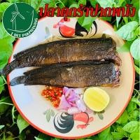 ราคา ปลาดุกร้า 500 กรัม ปลาดุกร้าสะอาด ปลาดุกร้าปากพนัง (12448612128)