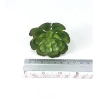 ราคา หัวแคคตัสปลอม SET 3 หัว 70 บาท ไม่รวมกระถาง แคคตัสปลอมจัดสวนถาด (1876250516)