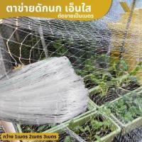 ราคา ยาว10เมตร ตาข่ายกันนก สีใส ไม่ทึบ ไม่ขุ่น แบ่งขาย มีขนาดกว้าง1m 2m 3m ขนาดตาประมาณ 2cm ตาข่ายกันนกสีใส ตะข่ายดักนก กันนกกระจอก นกพิราบ (20497381874)