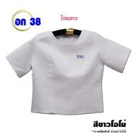 ราคา เสื้อไหมลาว อก 38 นิ้ว Set6 เสื้อไหม เสื้อคละแบบ เสื้อผ้าไหม เสื้อผ้าไหมหม่อน สีพื้น เสื้อผ้าพื้นบ้าน เสื้อผ้าพื้นเมือง (14972918331)