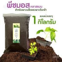 ราคา พีทมอส คลาสแมน peat moss klasmann สำหรับปลูก วัสดุปลูก เพาะเมล็ด กระบองเพชร คอสตัสบอนไซ หรือพืชอื่นๆ (10524259164)