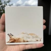 ราคา มีกล่องทุกชิ้น ที่รองแก้ว แผ่นหินรองแก้ว จานรองแก้ว ลายแมว จานรองแก้วแมว (16543300583)