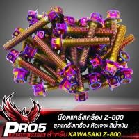 ราคา น๊อตแคร้งเครื่อง Z 800 KAWASAKI น็อตแคร้งเครื่อง หัวเจาะ ชุดแคร้งเครื่อง น๊อตเลสใส่ตรงแคร้งเครื่อง สำหรับ Z 800 เลือกสีด้านใน (10397544680)