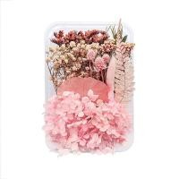 ราคา ดอกไม้แห้งตามธรรมชาติแบบทำมือแหวนจี้เรซิ่นอีพ็อกซี่พืชแห้งเครื่องประดับเคสโทรศัพท์มือถือเทียนทำอุปกรณ์เสริม (17379230387)