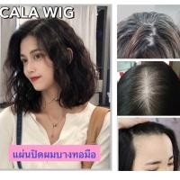 ราคา แผ่นปิดผมบางผมแท้ผมลอน ทอมือสวิตเซอร์แลนด์ผ้า กว้าง 9C M ลึก12C M ผมยาว 25Cm (19674336174)