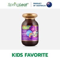 ราคา Springleaf สปริงลีฟ โพรไบโอติก 80 เม็ด (19900721850)