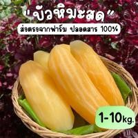 ราคา บัวหิมะ บัวหิมะสดตามฤดูกาลบัวหิมะสด หวาน ฉ่ำน้ำ กรอบ 1 10 kg บัวหิมะสด100 ผลไม้เมืองหนาว บัวหิมะสดใหม่ มีบริการเก็บเงินปลายทาง (20896282134)