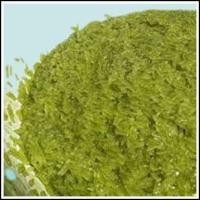 ราคา ข้าวเหนียวมูนข้าวเหนียวมูนใบเตยผงขมิ้นน้ำกระทิ 3 สี 3 แบบ จัดทำสินค้าทันทีตามออร์เดอร์คำสั่งซื้อ เชิญลิ้มลองได้เลย (20306019842)