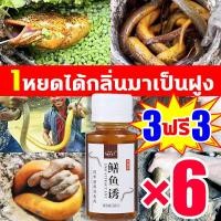 ราคา 1หยดดึงดูดแลาไหล10000ตัวได้ หัวเชื้อปลาไหล เชี่ยวชาญในราชาปลาไหล ล่อปลาไหล หัวเชื้อตกปลาไหลนา ดึงดูดปลา ล่อปลาอย่างรวดเร็ว จับปลาไหลเร็ว เหยื่อปลาไหล สำหรับปลาไหล สิ่งล่อใจที่แข็งแกร่ง รวมเหยื่อล่อแ เ