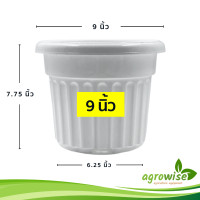 ราคา กระถางต้นไม้พลาสติก กระถางต้นไม้ กระถางปลูกต้นไม้ ทรงโรมัน 9 นิ้ว สีขาว (16197072780)