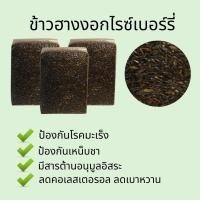 ราคา ข้าวฮางงอกหอมมะลิอินทรีย์ 100 ไร้สารเคมีทุกชนิด นุ่ม ทานง่าย Organic rice (10312709150)