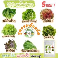 ราคา เมล็ดผักสลัด ชุดผักสลัด 100 เมล็ด ปลูกง่ายไม่กลายพันธุ์ สลัดใบเขียว บัตเตอร์คลั้น สลัดกรีนโอ๊ค เรดโบลว์ แกรนด์เรฟพิดปารีสไอแลนด์คอส โลล่ารอสซ่า สลัดคละชนิด เมล็ดพันธุ์ (11398320516)