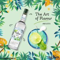 ราคา GIFFARD SYRUP Mint Lime (8756841053)
