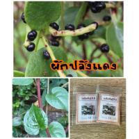 ราคา เมล็ดพันธุ์ ผักปลังแดง ผักปลัง ราคาถูก ปลูกง่าย ปลูกไว้ทานกินเอง 10แถม1คละอย่างได้ (9220939176)